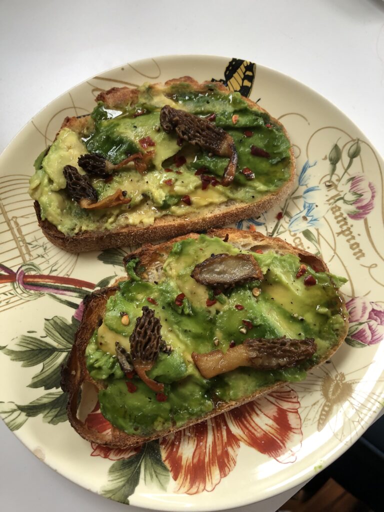 avocado toast on a plate with morel mushrooms